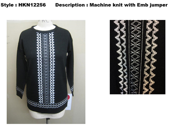 Machine Knit with Emb Jumper