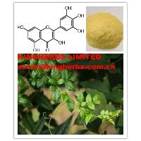 Myricetin