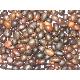 Palm Kernel Nut Seed