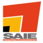 2013SAIE
