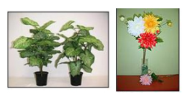 Artificial Flowers