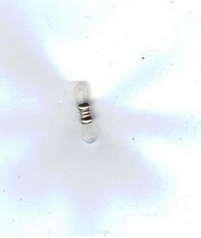 eye glass chain holder