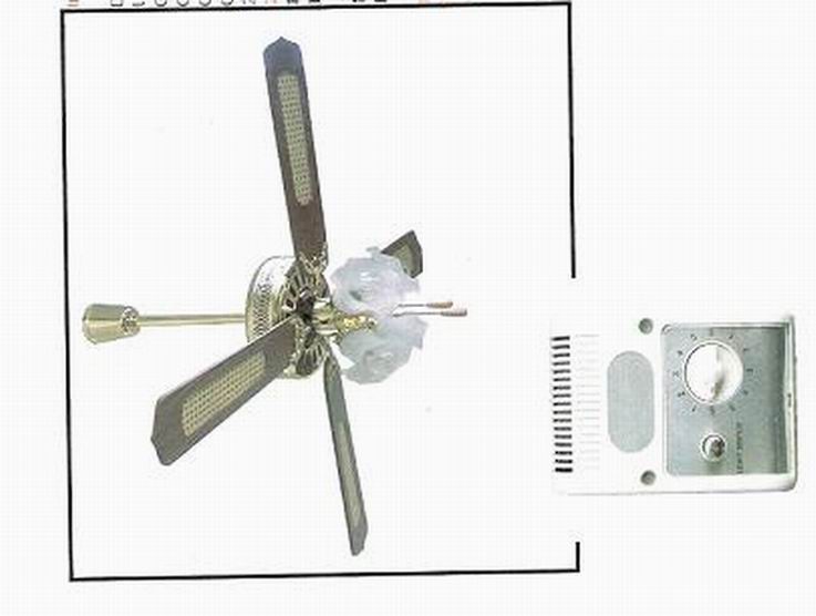 REG: DECORATIVE CEILING FAN