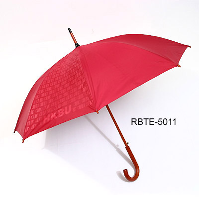 Wooden Umbrella