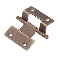 Steel Hinge