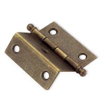 Steel Hinge