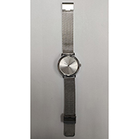 Gent's & Lady's Steel Watch