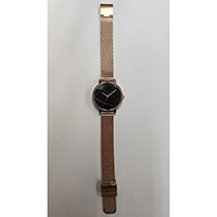 Lady's Steel Watch