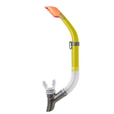 Snorkel