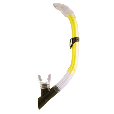 Snorkel