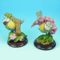 Birds
