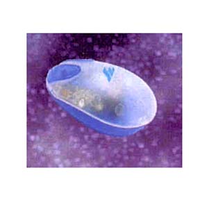 Microsoft Serial Mouse