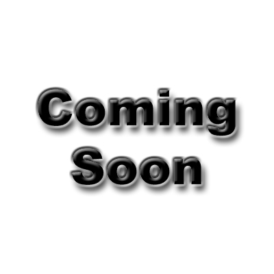 Eaton series piston parts