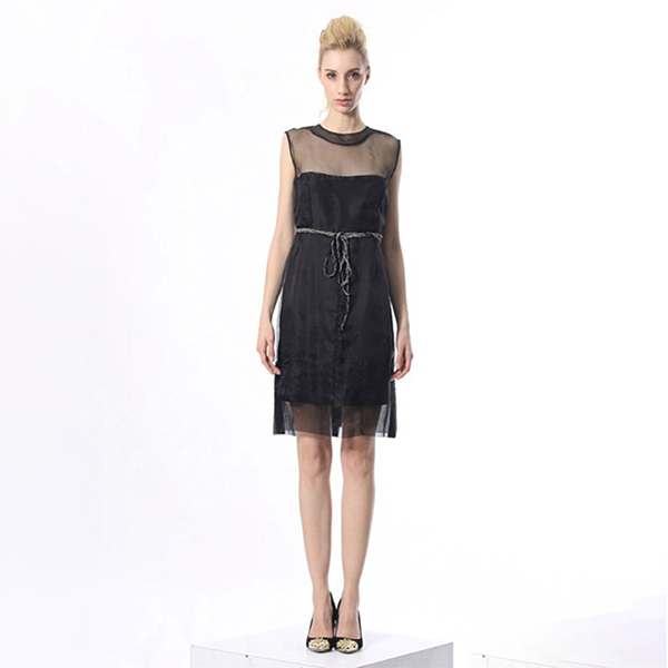 Woman Sleeveless Chiffon Mesh Dress