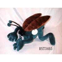 Insect