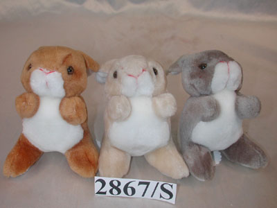 Rabbit
