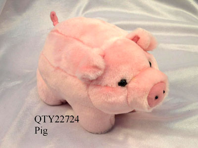 Pig