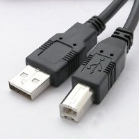 USB A Type Male with USB B Male