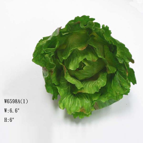 6' CRISPHEAD LETTUCE