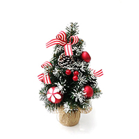 Christmas Decoration