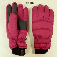 Ski Gloves