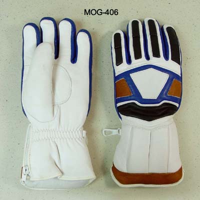 Motorcycle Gloves