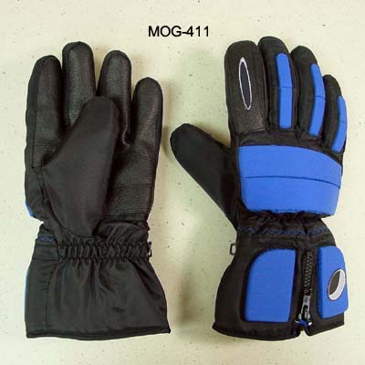 Motorcycle Gloves