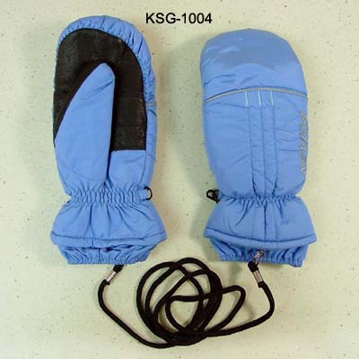 Ski Gloves