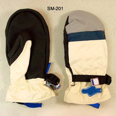 Ski Gloves