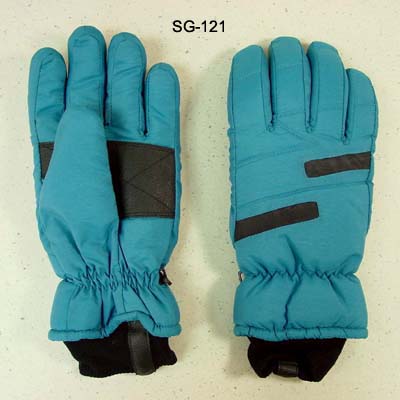 Ski Gloves