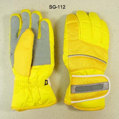 Ski Gloves