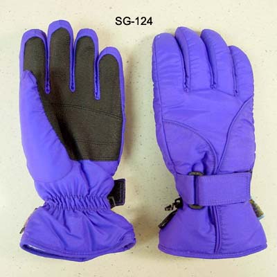 Ski Gloves