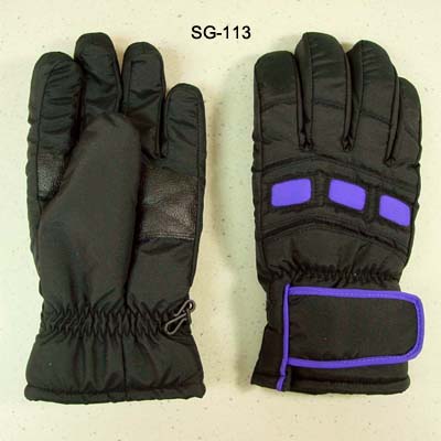 Ski Gloves