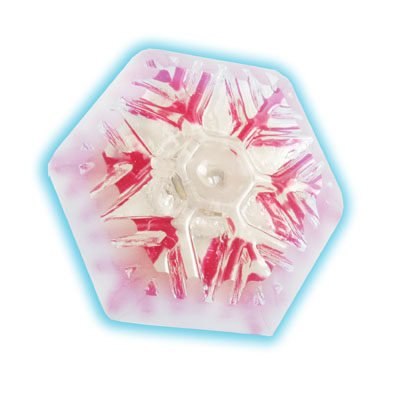 Rainbow Magnetic Badge