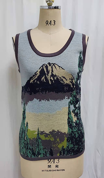 Ladies Top