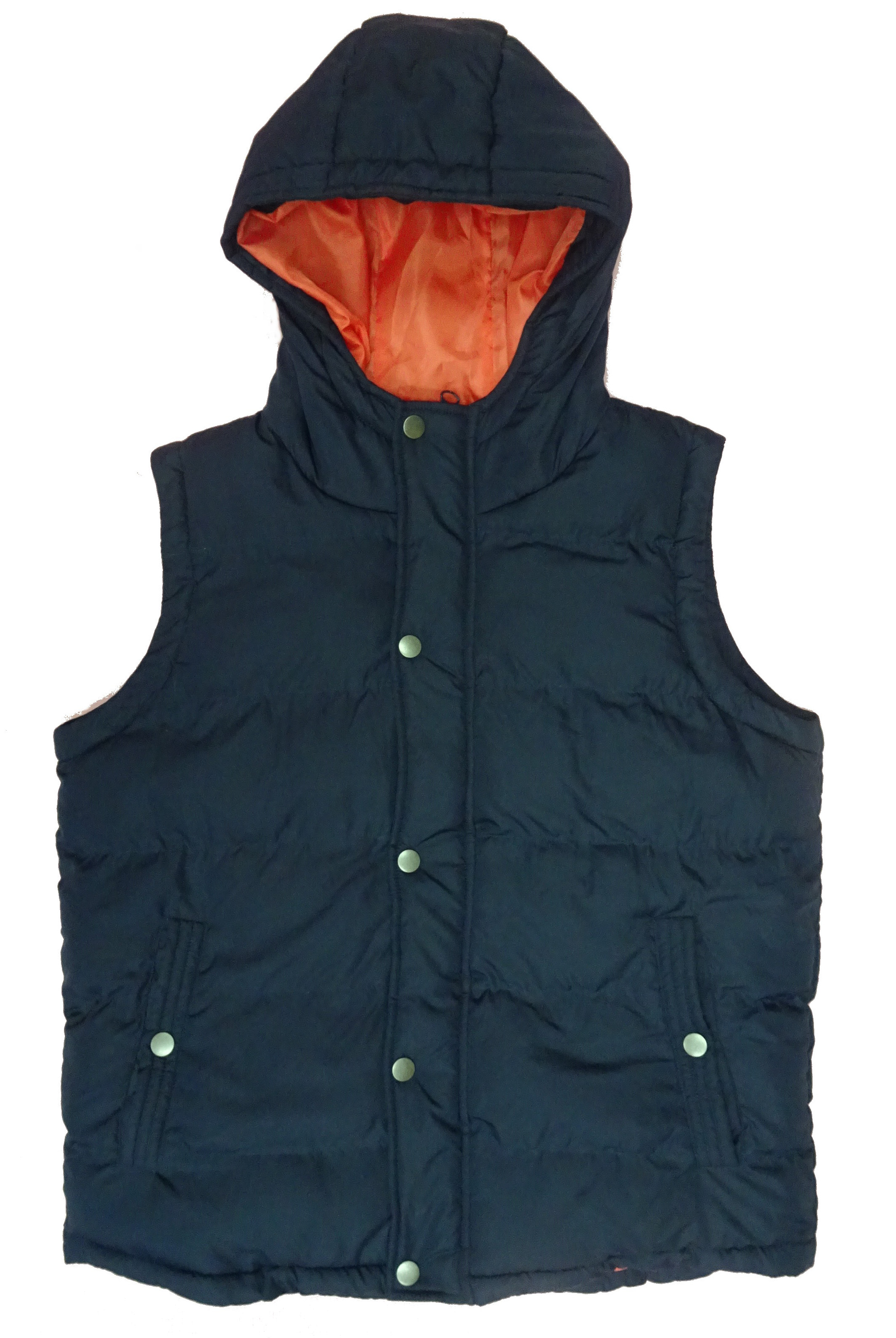 padded bodywarmne