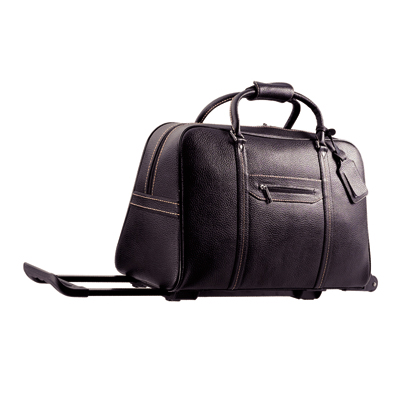 Travel Bag w/ trolly