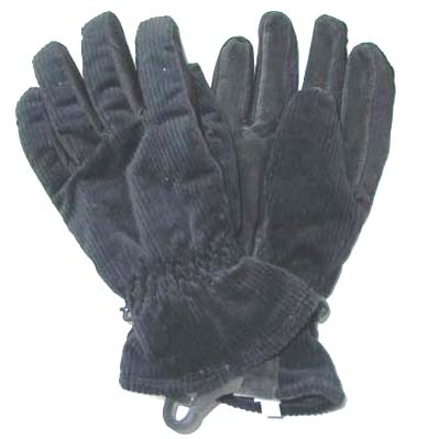 Glove