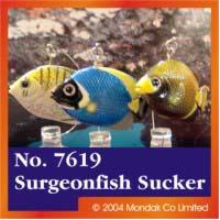 Blue Surgeonfish Sucker