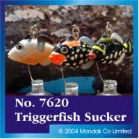 Clown Triggerfish Sucker