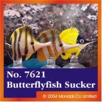 Longnose Butterflyfish Sucker