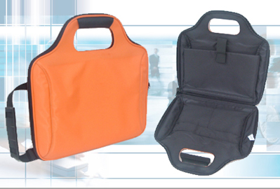 Computer Carrying Case