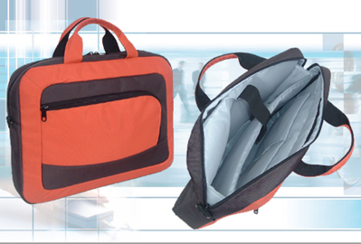Computer Carrying Case