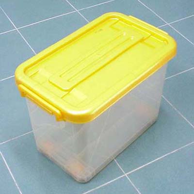 Storge Box with 4 Wheels