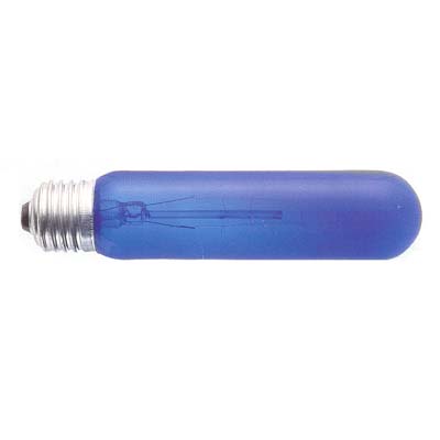 Sell Dark Blue Bulb