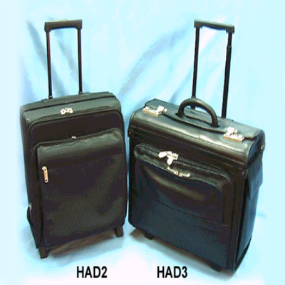 Leather Luggage Case