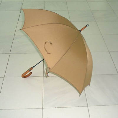 Umbrella