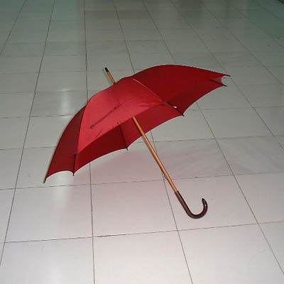 Umbrella