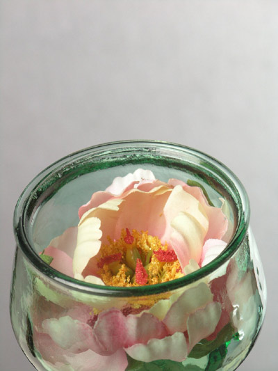 PINK PEONY IN ARTIFICIAL WATER