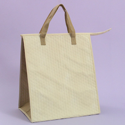 Insulated Bag